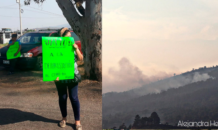 Morelia Pobladores Exigen Un Alto A Incendio En El Cerro Del Águila –   – Noticias de última hora, con un toque acidito