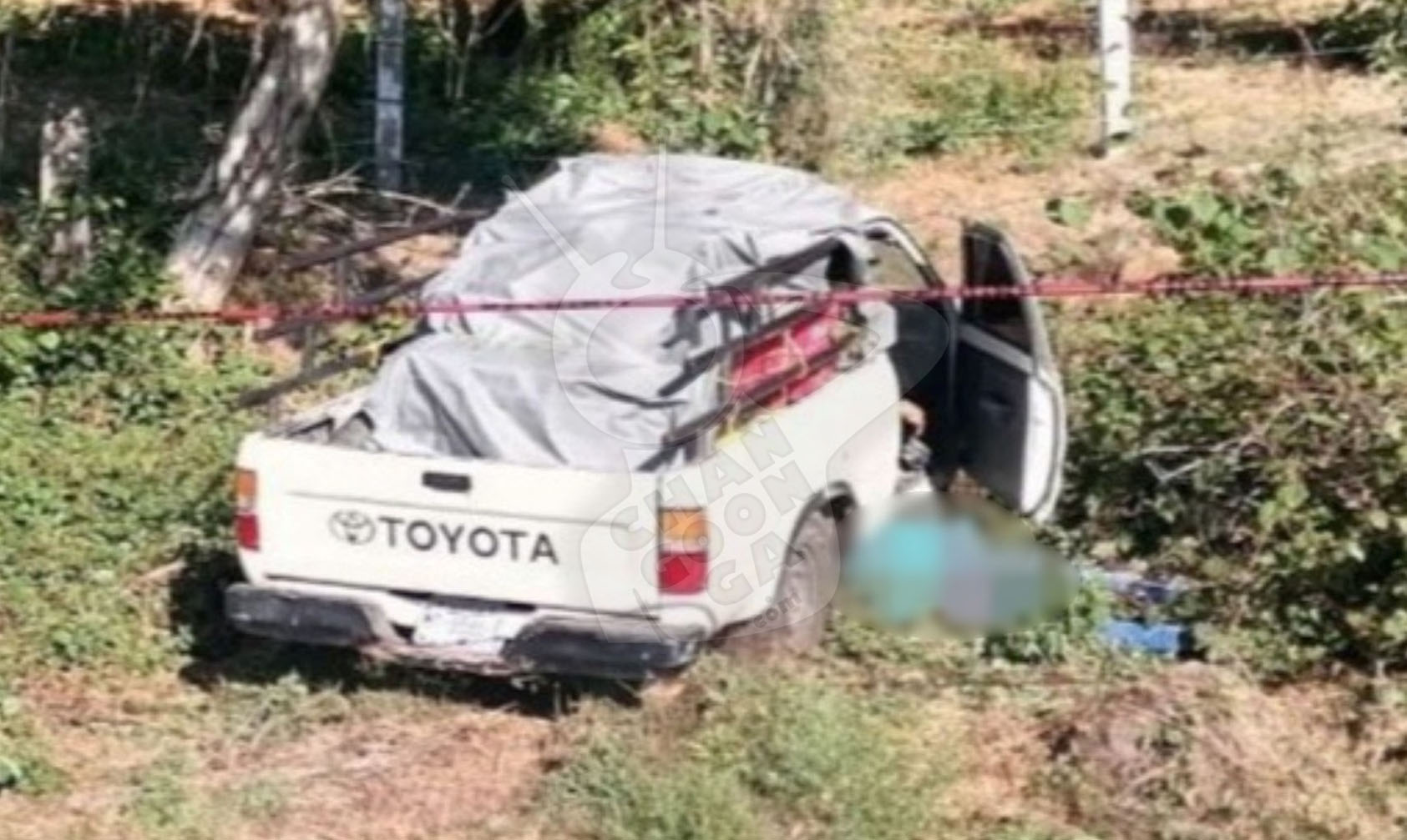 Los Aguacateros De Michoacan béisbol coche adhesivo : : Coche y  moto