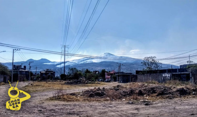 Michoacán Bedolla: Cerros Del Águila Y Quinceo Ya Son Áreas Naturales  Protegidas Del Aguacate –  – Noticias de última hora, con un  toque acidito