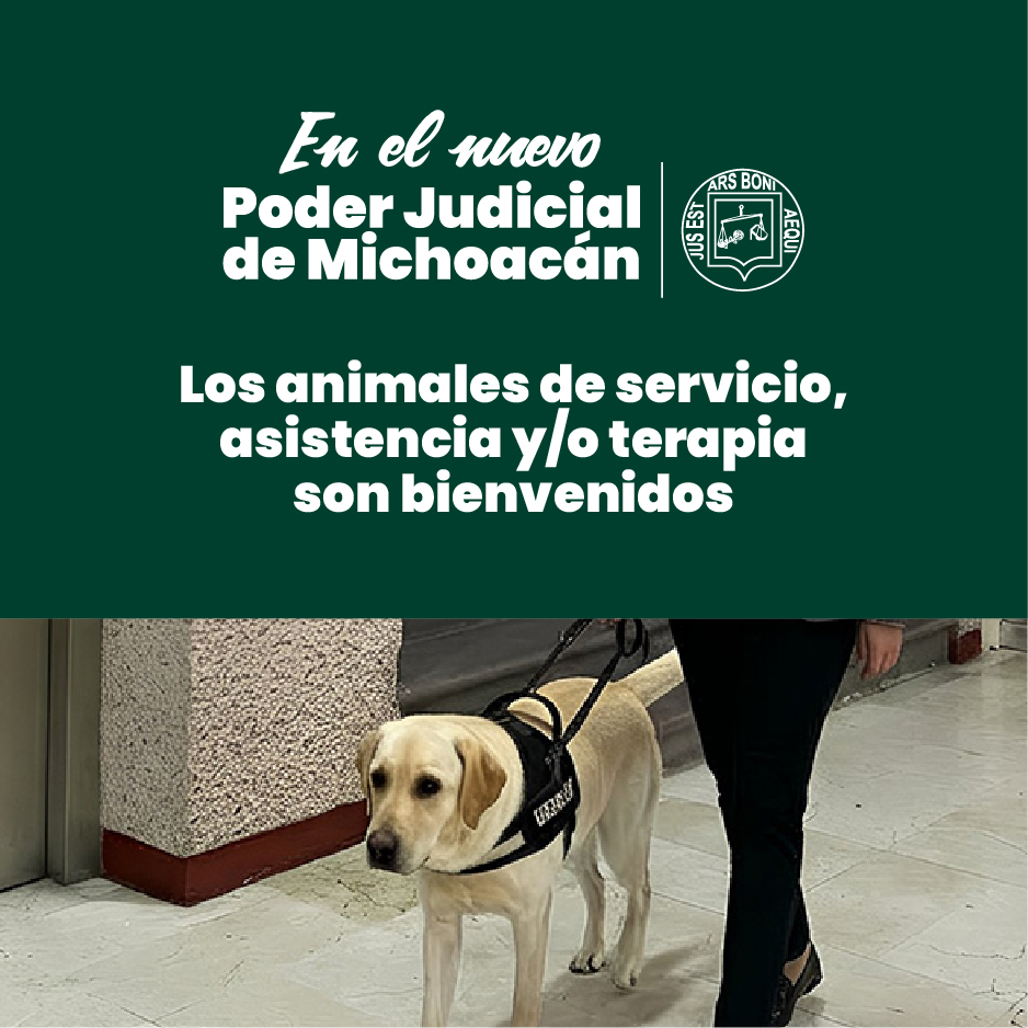 https://www.poderjudicialmichoacan.gob.mx/web/default.aspx